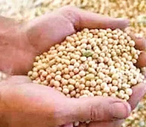 Image used for representational purposes only