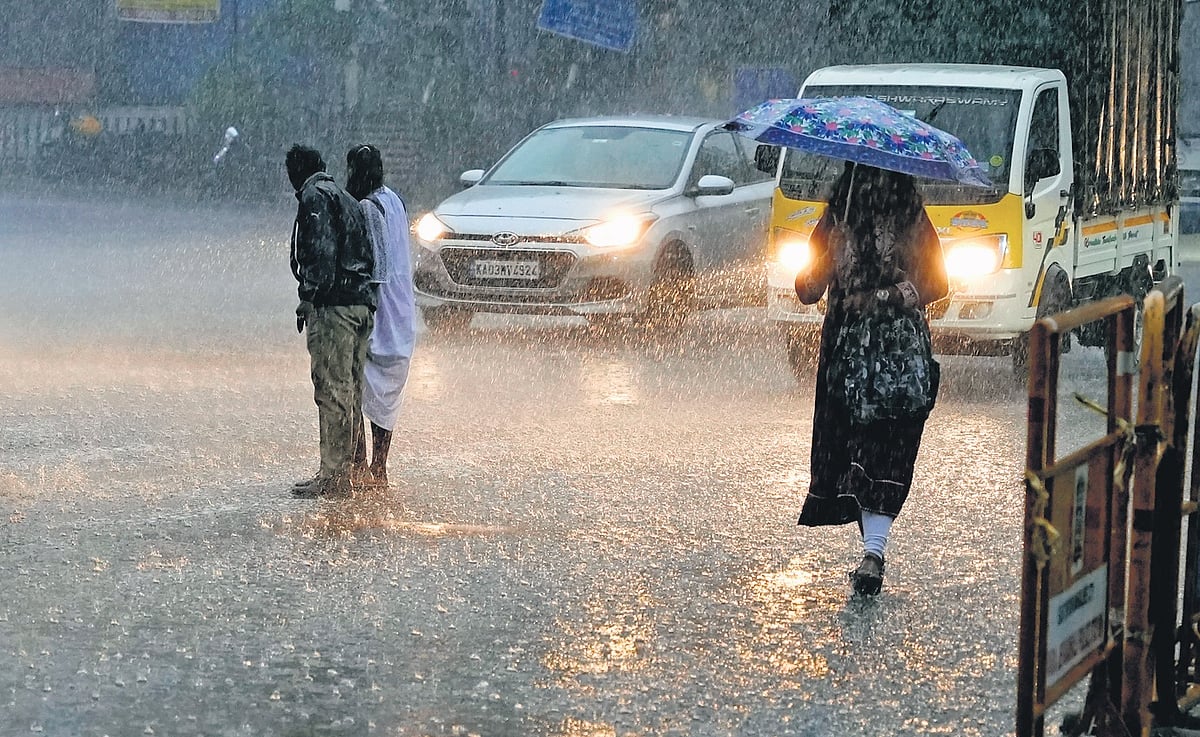 Punjab Flooded: Incessant Rain Wreaks Havoc, Schools Closed