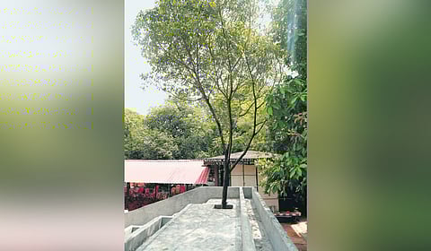 Changampuzha Park in Kerala to get makeover, GCDA plans inauguration by June end