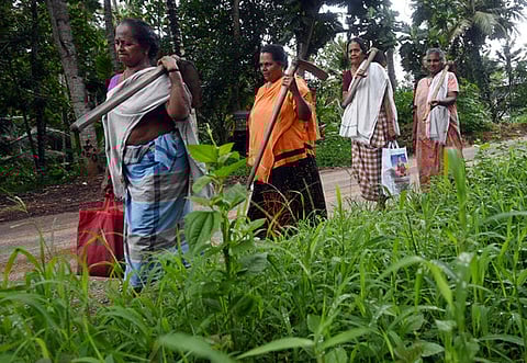  Kudumbashree Women who are part of the MGNREG scheme returning home after the day's work.(Representative Image) 