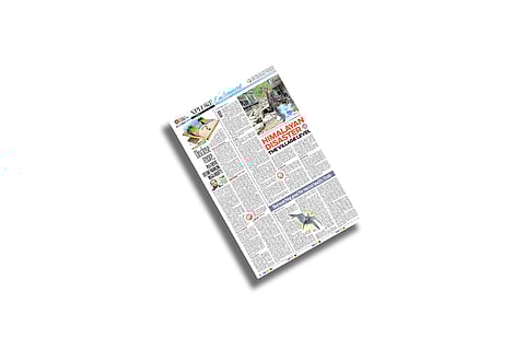 Check out this week's Xplore on Environment