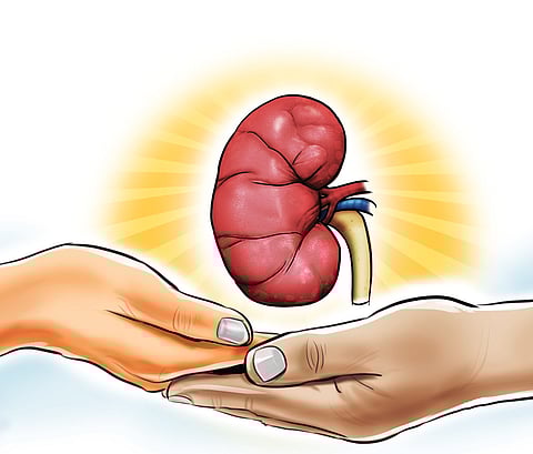 Express Illustrations