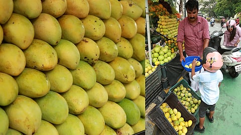 A boy buys mangoes from a fruit stall at High Court Junction in Kochi.