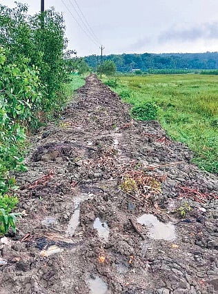 The current state of the walkway 