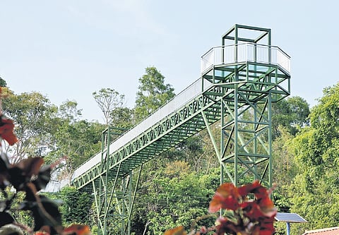 The glass bridge at Akkulam tourist village in Thiruvananthapuram 