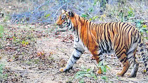 Image used for representational purposes only.