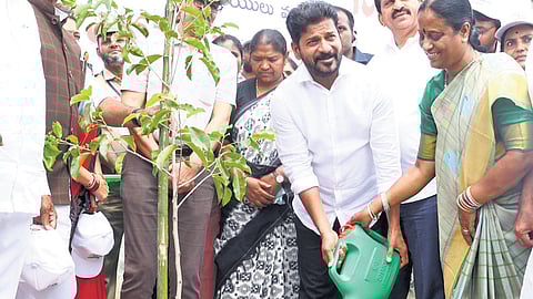Chief Minister A Revanth Reddy, flanked by his Cabinet colleagues, plants a sapling in Warangal under the ‘Vanamahotsavam’ programme on Saturday