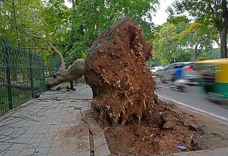 Representational photo