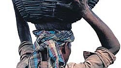 The country’s commitment at the international forum will at some point lead to the phasing down of coal. 