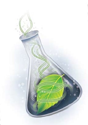 Wipo Treaty: Promoting biopiracy