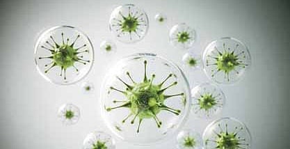 Image used for representation