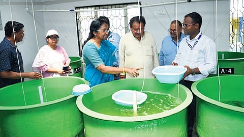 Union Minister of state for Fisheries, Animal Husbandry and Dairying Prof SP Singh Baghel at CIFA in Bhubaneswar on Sunday 