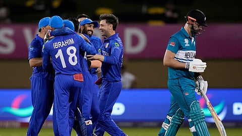 Afghanistan players celebrate the dismissal of New Zealand's Daryl Mitchell, right, during an ICC Men's T20 World Cup cricket match on June 7, 2024.