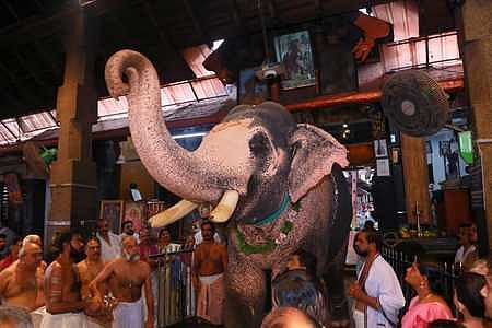 Image of a temple elephant used for representational purposes only