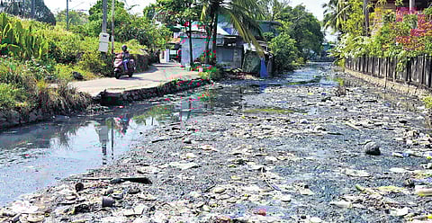With the city dwellers turning the Perandoor canal into a dumpyard, it has become a health hazard | file pic