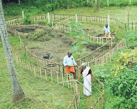  A small plot of land unfolds to reveal verdant fields, all spruced for a total plant cover.