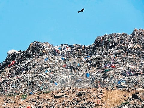 Representative image