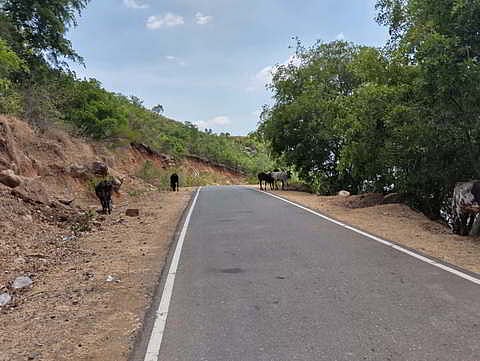 Dharmapuri: Residents seek the setup of retaining walls along the roads leading to Vathalmalai.