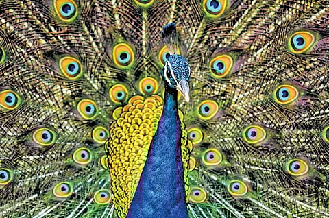 The mystical quality of rains across cultures