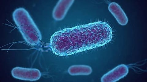 Suspected diarrhoea outbreak claims four lives in Puri district