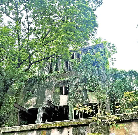 Property of Travancore Rayons in Perumbavoor 