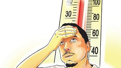 Image used for representation