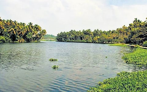 The Akkulam backwaters rejuvenation project, entails a Rs 185 crore initiative to revitalise 225 acres of backwaters. 