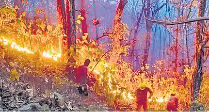 Forest fires take a toll on popular tourist hotspots of Uttarakhand 