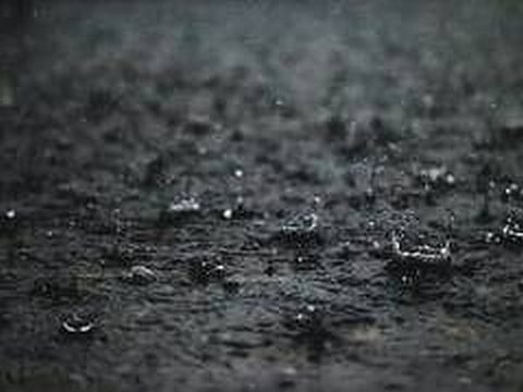 CM Yadav said people from the society who were helping in flood-like situations will be honoured on August 15.