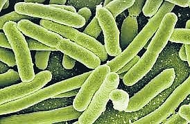 E-coli is a subgroup of coliform bacteria, which is commonly found in natural sources of water