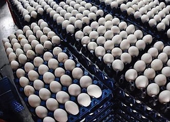 Image used for representational purposes only