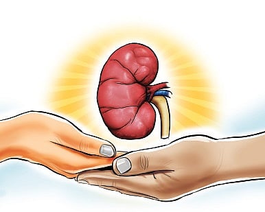 The stark reality of organ donation in Kerala: Commercial transactions and low deceased donorship