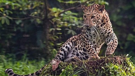 Representative Image.