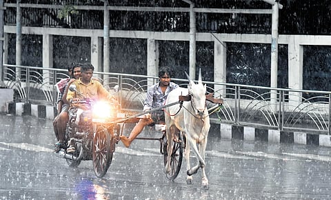 Bikers trail behind a bullock cart during the heavy rain in Anna Salai near Simpson on Wednesday