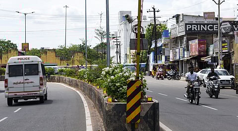 A CCTV camera on Pudukkottai Road whose very positioning raises doubts over its usage