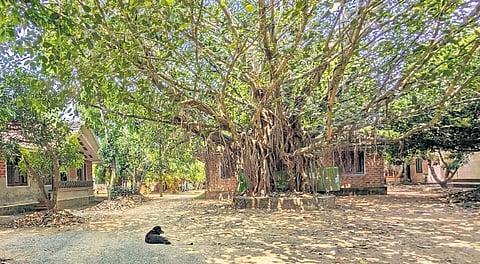 Moozhikulam was one of the four important learning institutions then. 