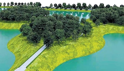 An artistic representation of a bird island which is set to come up on a two-hectare area where native trees will be planted