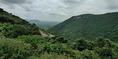 The roads to Vathalmalai have 23 hairpin bends and in most areas retaining walls have been built to ensure safety.