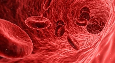 India will start clinical trial for treating sickle cell disease among central India tribal