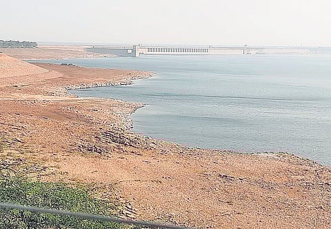 Farmers under the Nagarjunasagar project are worried as the Krishna basin has not recorded any rainfall so far.