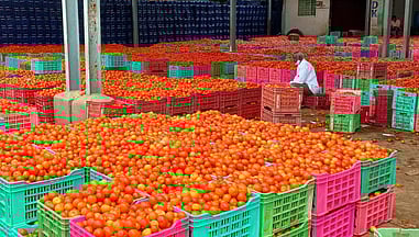 Image used for representational purposes only