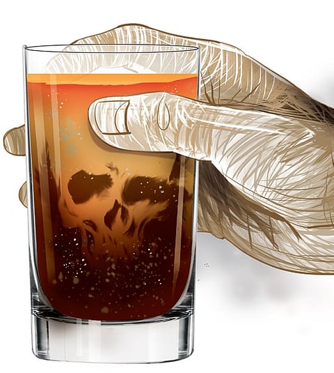 Ask husbands to drink at home if you want them to quit alcohol: MP minister 