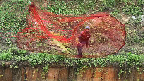 A local fisherman belonging to Rathickal near Varkala at TS Canal laid a fishing net.
