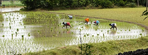 Image used for representational purposes only