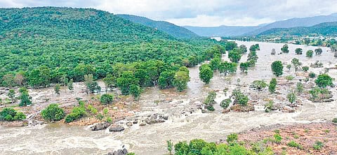 The rise in water level has brought relief to the farmers; as of 8pm on Saturday, the inflow to the dam was 1.23 lakh cusecs and the outflow was 1,000 cusecs 