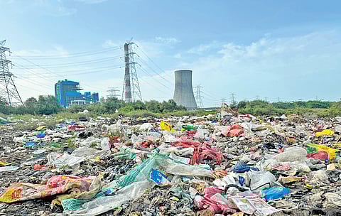 Tonnes of waste 
was piled on top of young mangroves in Ennore 