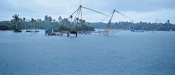 Backwaters in Kadamakkudy