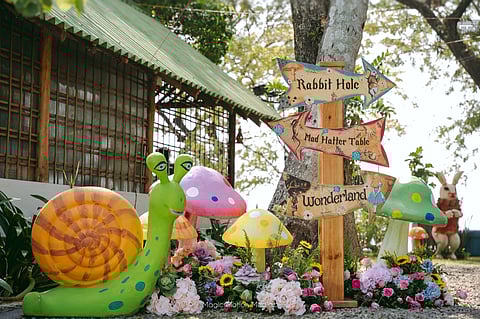 An Alice in Wonderland marriage from God's own country (Photo | Special arrangement)