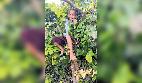When the teachers reached Kaushik’s house, the six-year-old boy, afraid of being admitted to school, climbed a tree and refused to come down.