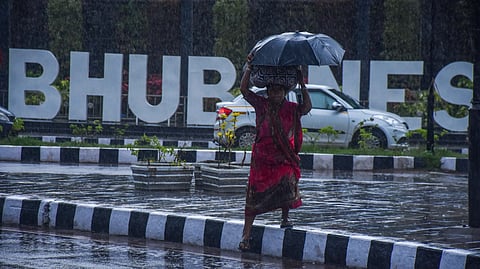 Fresh rains worsen plight of flood-hit villagers in Odisha's Kendrapara